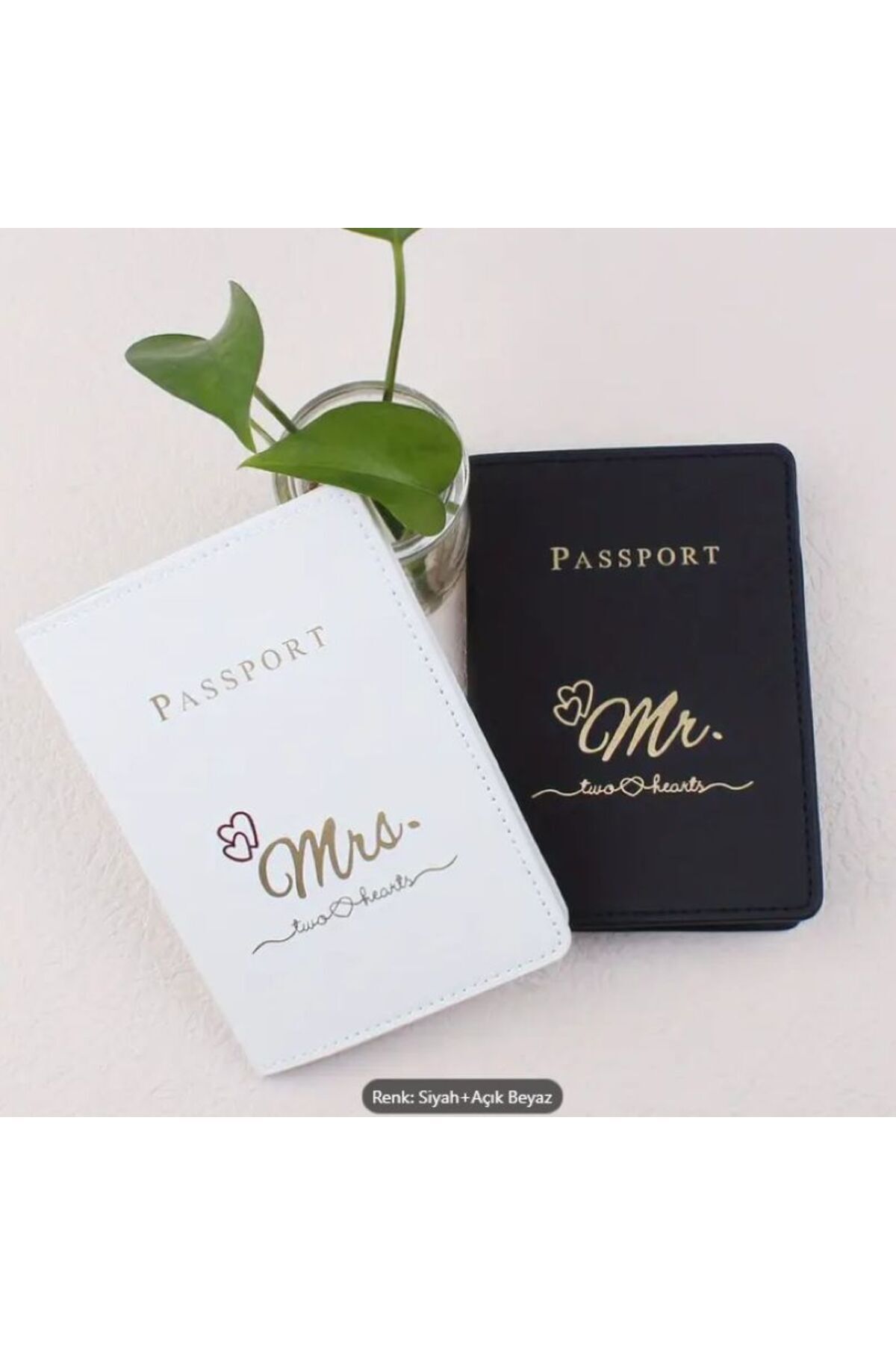 İkili Pasaport tutucu, kartvizitli ikili set, çift seyahati