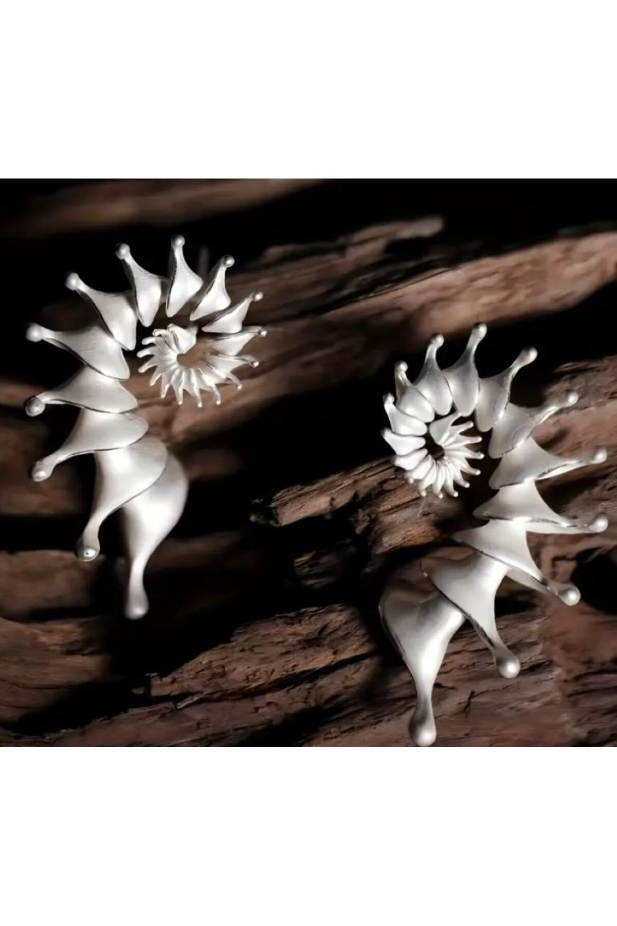 Deniz Kabuğu Zarif Küpeler, Kulak İğnesi 925 Ayar Gümüş